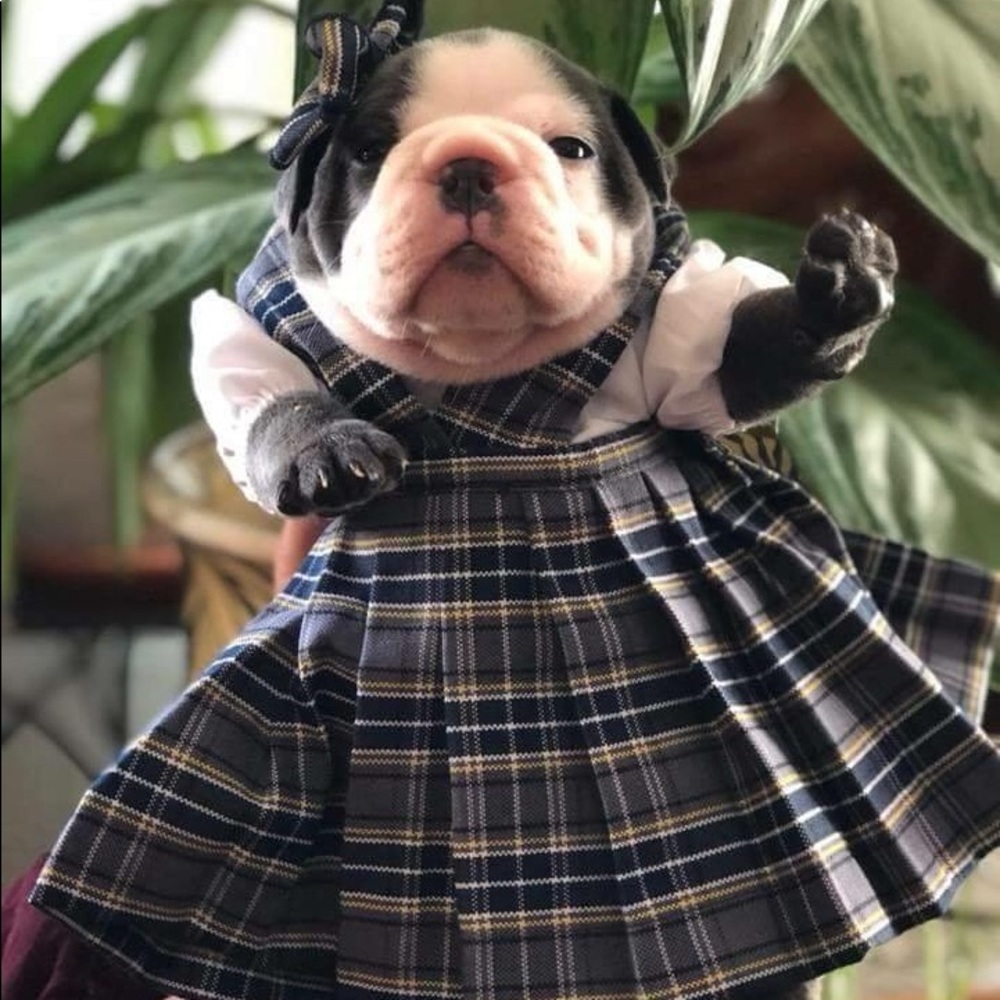 Meet your Posher, Rebeca